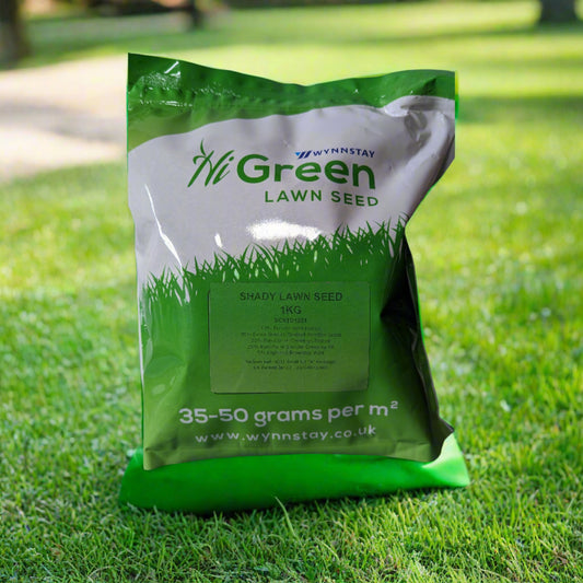 Shady Lawn Seed 1Kg