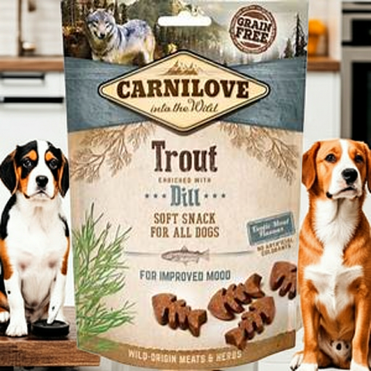 Carnilove Dog Trout & Dill 200g