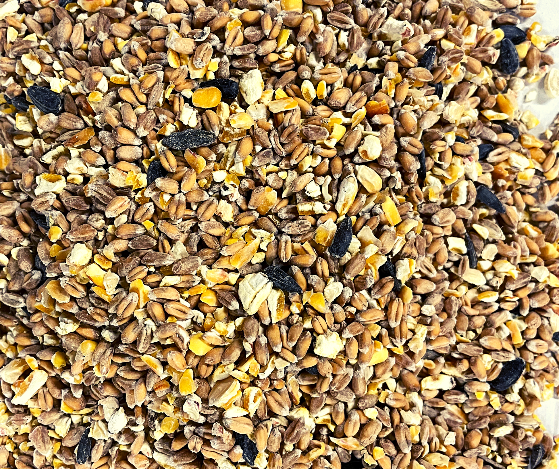 Traditional Mixed Poultry Corn 20Kg